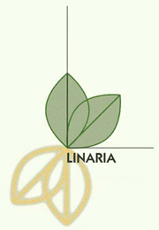 logo_klein